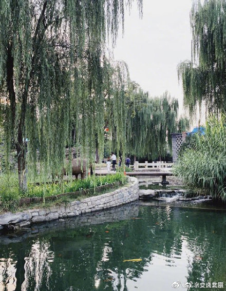 坐著BUS逛京城——三里河公園 坐著BUS逛京城——三里河公園