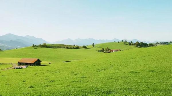 人到中年後,什麼是最重要的? 人到中年後,什麼是最重要的?