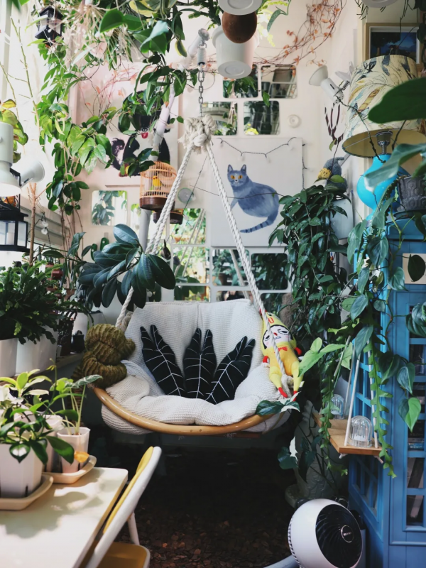 沒有花園怎麼種花？從東北到廣東，4位大神在室內種出植物園