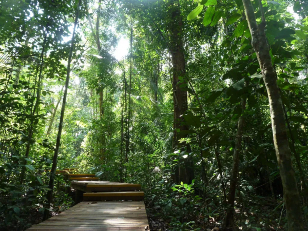 新加坡26條遠足路線:尋找長尾獼猴、紅毛丹種植園,眺望最美海峽 新加坡26條遠足路線:尋找長尾獼猴、紅毛丹種植園,眺望最美海峽