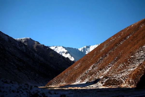 甘肅山丹：祁連山後稍溝禁牧區內千隻岩羊午後“散步”