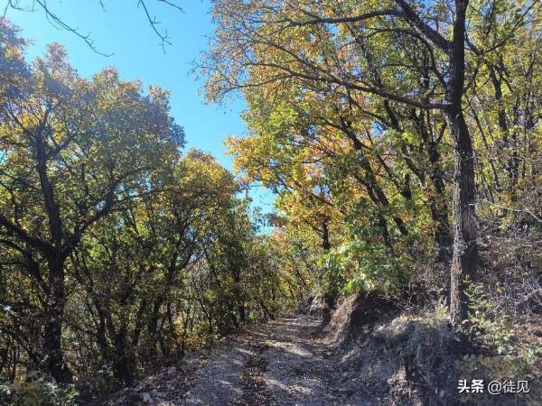 徒步延慶鳳凰坨,登高賞秋色 徒步延慶鳳凰坨,登高賞秋色