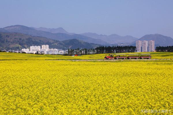 別人的生活:退休了 開始自駕遊 別人的生活:退休了 開始自駕遊
