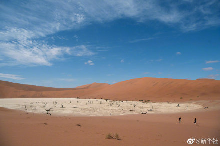 奈米比亞紅沙漠真奇特