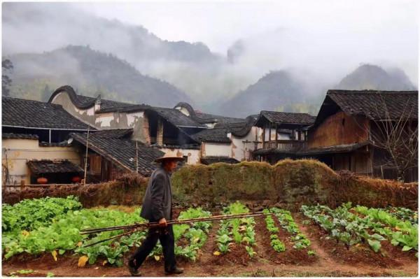 三山五嶽奇為首，千年人文石門山 訪福建周寧樓坪古村 記者 張桂守