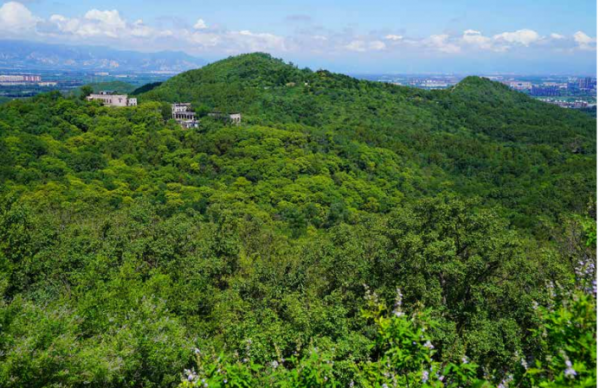 “文化碑林 綠色生態”——首都綠色文化碑林建設歷程回顧 “文化碑林 綠色生態”——首都綠色文化碑林建設歷程回顧