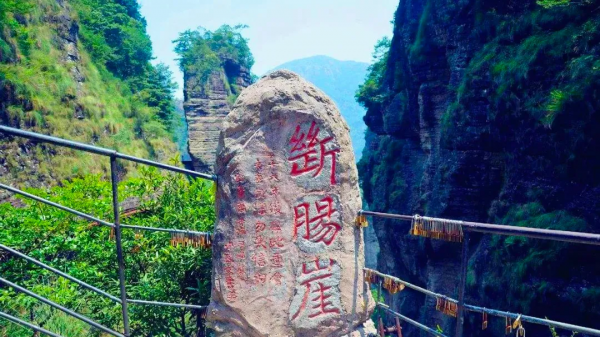 被賺錢耽誤的好好吃地方，一天能打11個飽嗝