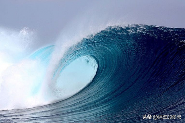 創業，原來是“九死一生”，現在是“十死無生”？