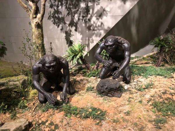 博物館Vol.016 | 周口店北京人遺址博物館