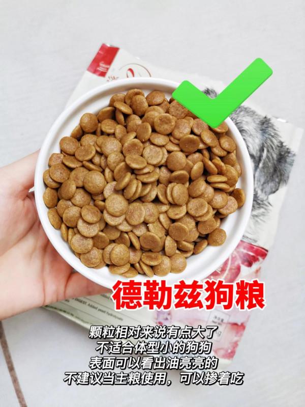 狗狗一直吃這些狗糧，為什麼身體卻越來越差