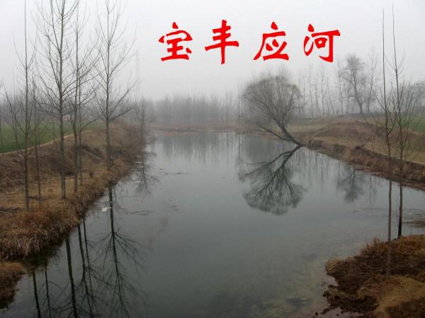 我的驢行日記——寶豐馬街書會