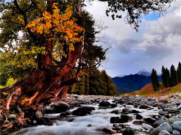 新疆天山山脈進入秋季，色彩斑斕
