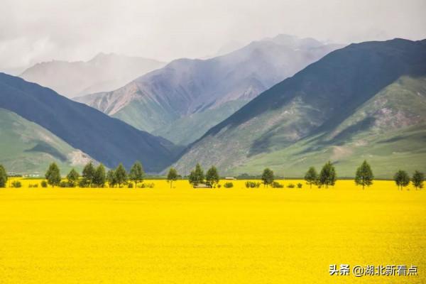 青海，你可以去100次