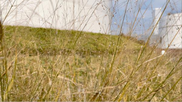 逸筆觀展《美感》喬志兵收藏展 | 油罐 | 唯美的粉黛與藝術的美感