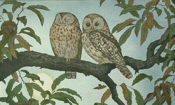 想知道十六型人格的精神獸嗎？你覺得自己跟什麼動物最像？