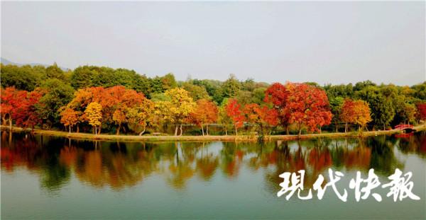 前湖月牙堤波光倒影,暈染南京斑斕秋色 前湖月牙堤波光倒影,暈染南京斑斕秋色