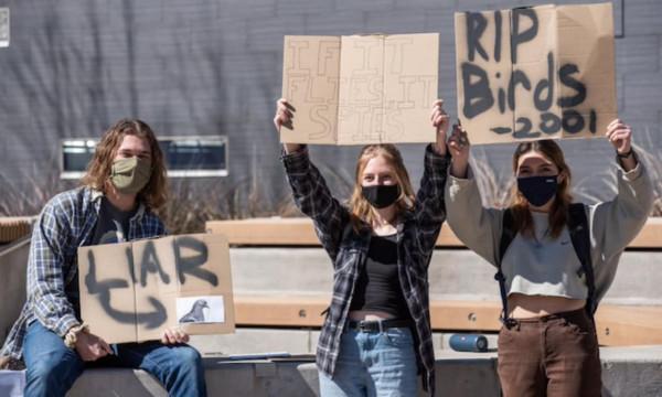 “鳥不是真的”?美國Z世代的新運動是陰謀論嗎 “鳥不是真的”?美國Z世代的新運動是陰謀論嗎