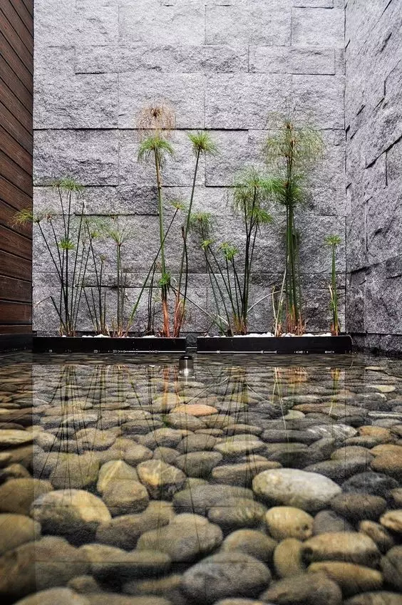 50款簡潔的院子，美的驚人