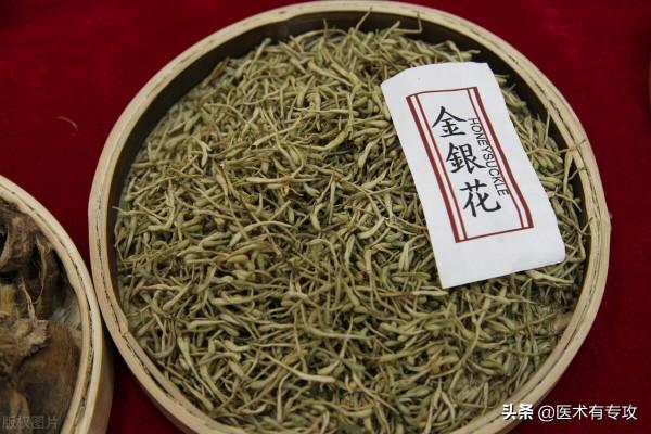清熱解毒第一藥——金銀花，你瞭解嗎？
