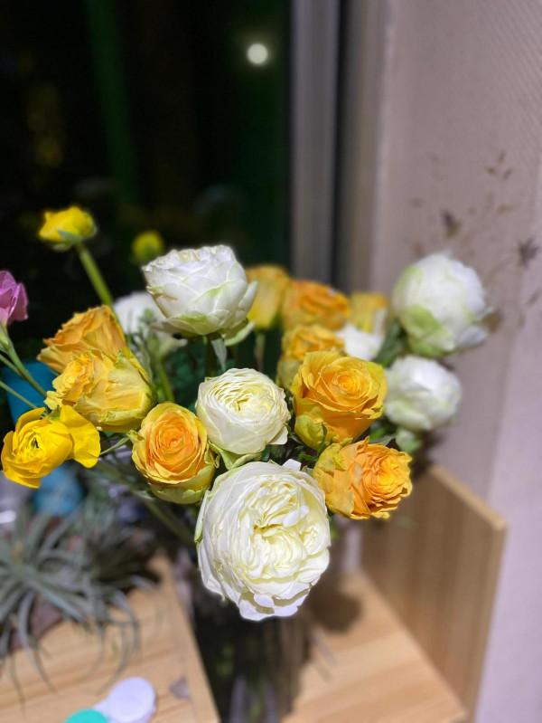 冬天暖色系的花朵