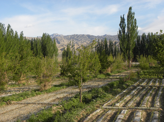 來看看中國-吉爾吉斯斯坦的邊界小城-阿合奇,帶你體驗異域風情 來看看中國-吉爾吉斯斯坦的邊界小城-阿合奇,帶你體驗異域風情