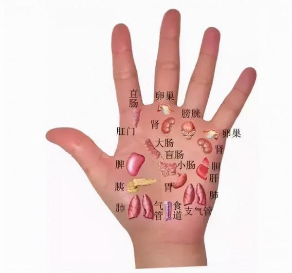 吃白粥、麵條，能養胃嗎？2個常見的養胃誤區