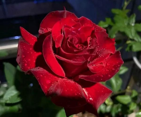 第5日辦公族頸部放鬆有妙法