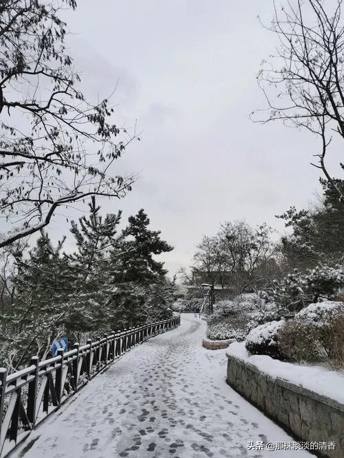 2021年的最後一場雪，讓我生平第一次反感和恐懼