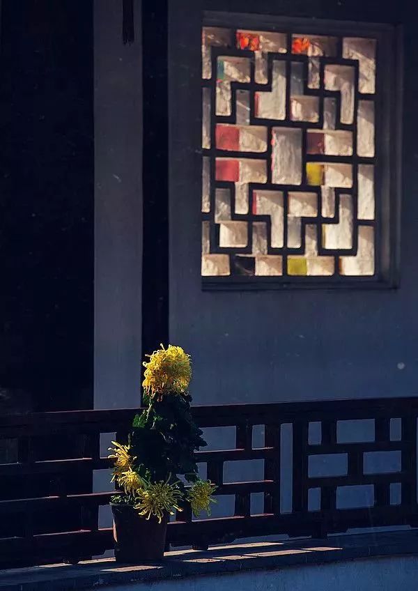 如果讓你選擇一句古詩詞來總結2021,哪句會跨越時光戳中你? 如果讓你選擇一句古詩詞來總結2021,哪句會跨越時光戳中你?