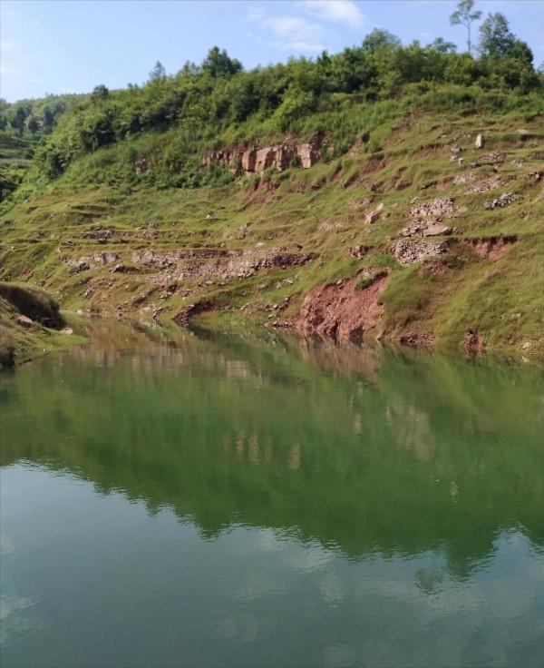 這才是釣魚人的快樂!1斤多的黃金鯽,連了18竿…… 這才是釣魚人的快樂!1斤多的黃金鯽,連了18竿……