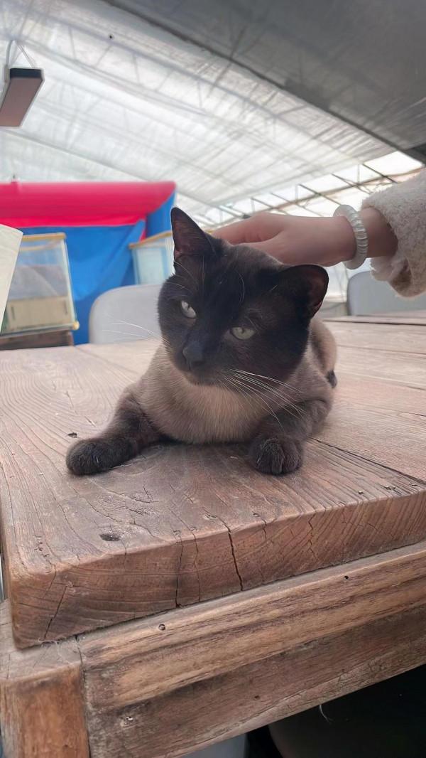 小朋友的天地動物的樂園—水榭萍鄉親子莊園