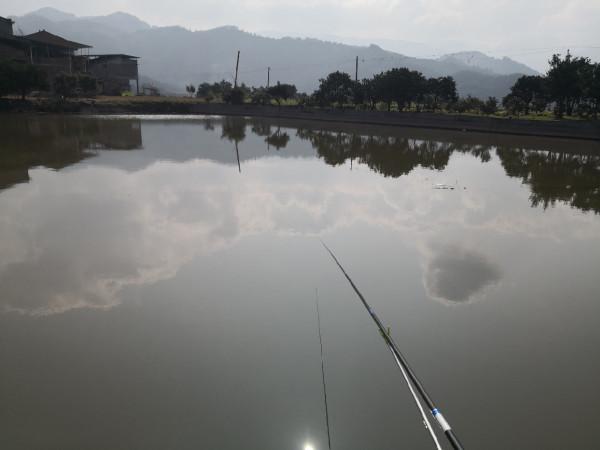 春節釣魚有鯽也有鯉，大吉大利&hellip;&hellip;