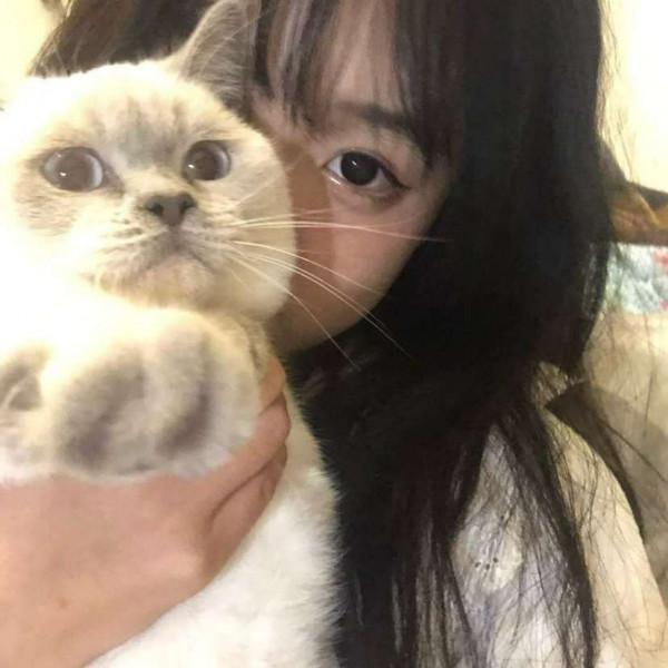 #頭像 #優質頭像：女生頭像｜生活幸福 豬豬發福