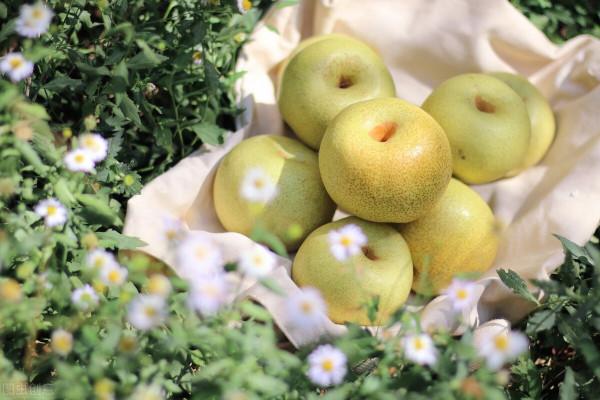 你遇見的事，都是來渡你的