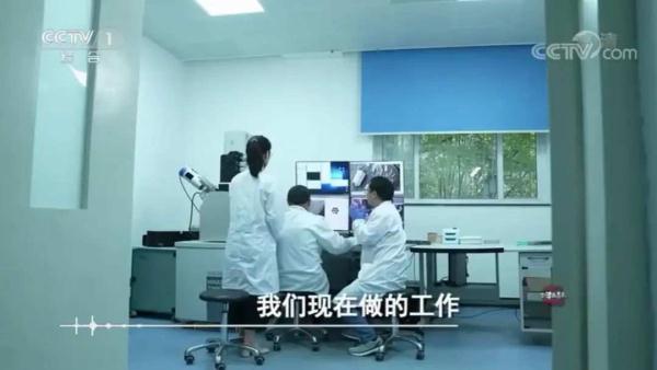 化石也能拆盲盒？