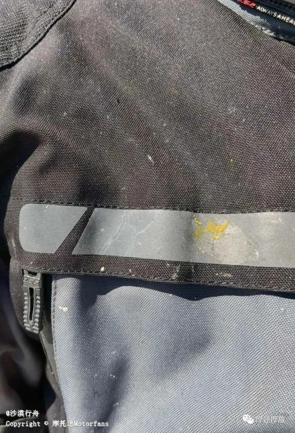 我的花甲之旅——沿途溼地沼澤,鳥語花香,森林草原,牛羊肥壯 我的花甲之旅——沿途溼地沼澤,鳥語花香,森林草原,牛羊肥壯