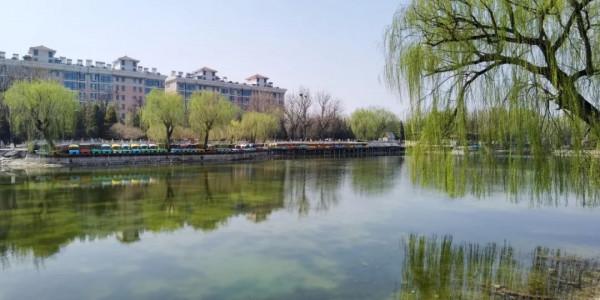 迎冬奧·發現宣化之美|宣化這個公園,美的不像話,像畫! 迎冬奧·發現宣化之美|宣化這個公園,美的不像話,像畫!