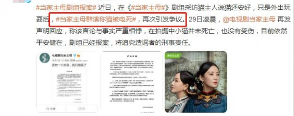 《當家主母》“喵咪事件”愈演愈烈,還有更殘忍的,都停止吧 《當家主母》“喵咪事件”愈演愈烈,還有更殘忍的,都停止吧