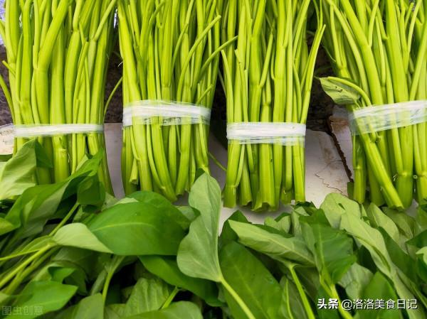 冬天別總吃大魚大肉,多吃這6種綠葉菜,每天換著吃,清淡不油膩 冬天別總吃大魚大肉,多吃這6種綠葉菜,每天換著吃,清淡不油膩