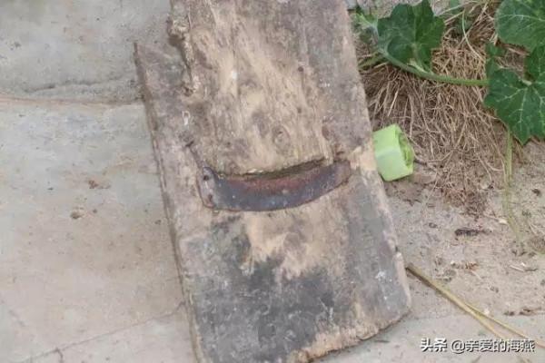 11種七十年代農村老物件老農具，有的成為古董，70後不見得都認識