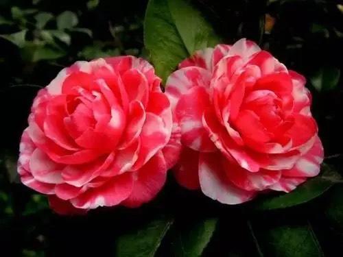 一輩子真的很短，我們要讓自己盡最大努力凝聚更多的安暖