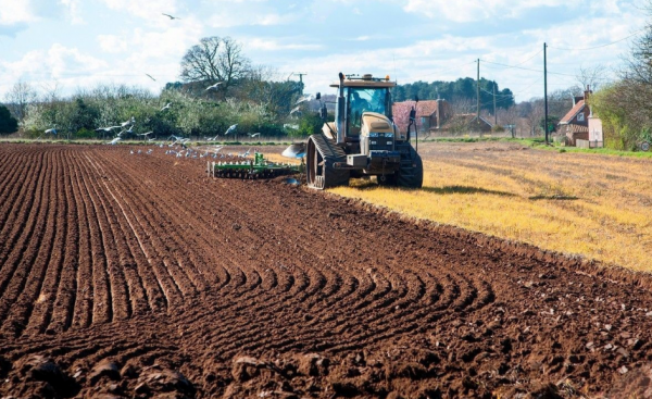 “土葬”將被取消?已經下葬的也要搬遷,以後村裡的墳這樣處理 “土葬”將被取消?已經下葬的也要搬遷,以後村裡的墳這樣處理