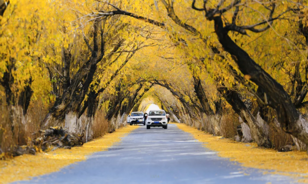 2021年，新疆非去不可，新疆怎麼玩，看完這一篇就夠了