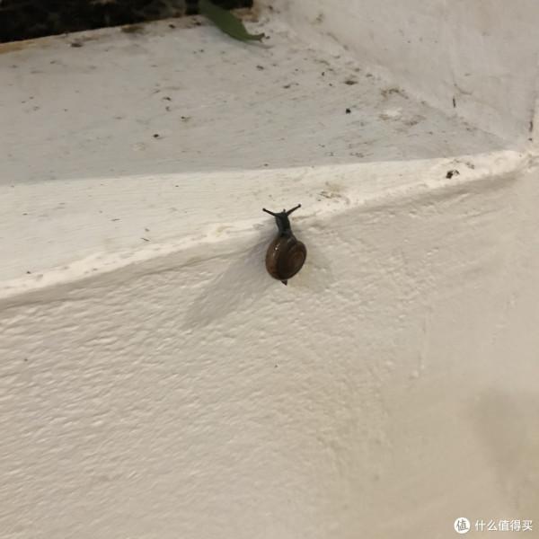 紀念一下普吉島最美海灘,奈涵,還有那奈涵最美酒店 紀念一下普吉島最美海灘,奈涵,還有那奈涵最美酒店