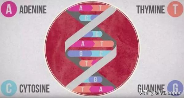 宇宙內無法重樣？當把人體放大、再放大後，細思極恐的問題出現了