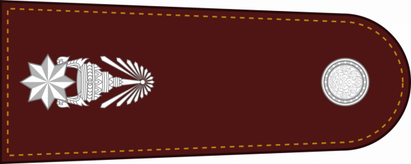 泰國警銜標識 泰國警銜標識