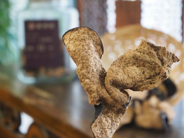 一兩陳皮一兩金 陳皮為什麼具有極高價值 一兩陳皮一兩金 陳皮為什麼具有極高價值