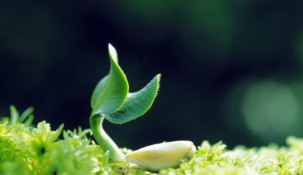 躺平雞娃，最近你家娃惹你生氣你是怎麼治他的