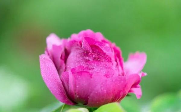 相是由心生,美貌是福報 相是由心生,美貌是福報