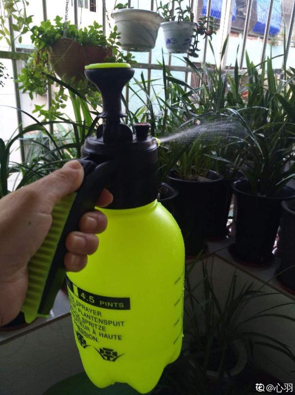 秋天到，花多多也該準備上了，早點用上開花多